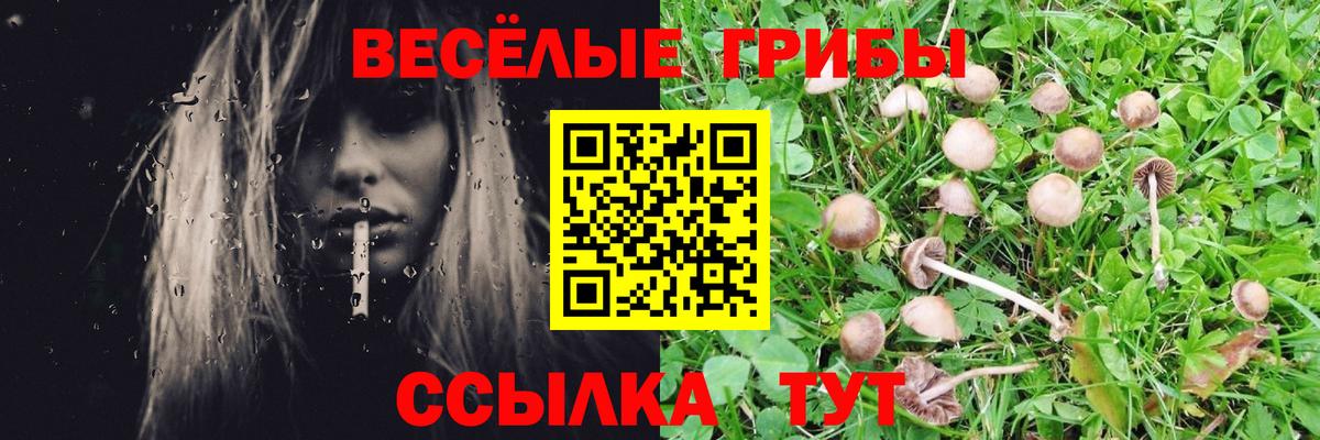 наркошоп  Вход с VPN  Бугуруслан  Псилоцибиновые грибы мухоморы  Псилоцибиновые грибы Psilocybe 