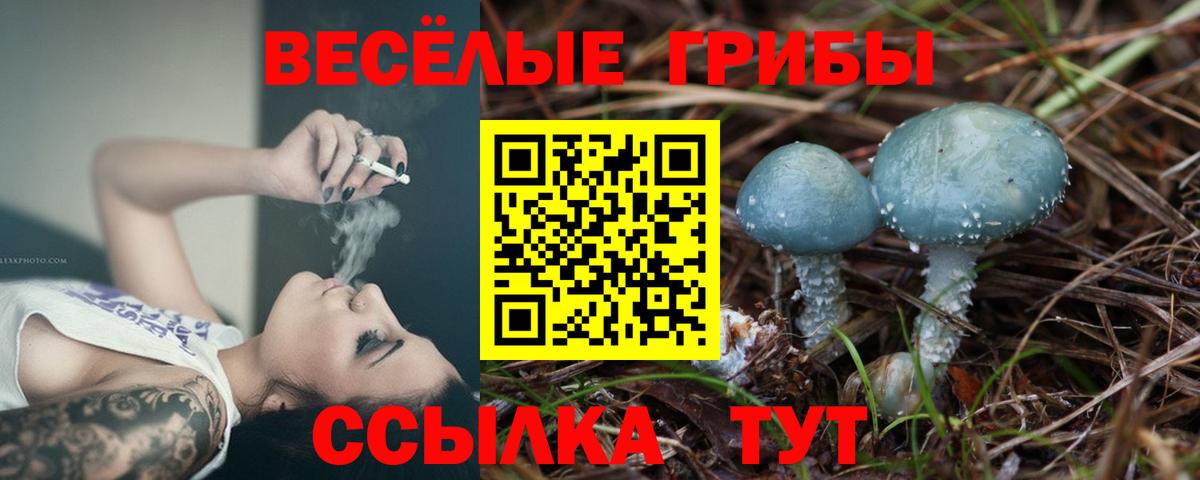 Псилоцибиновые грибы MAGIC MUSHROOMS Бугуруслан